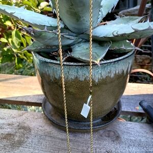 Gold chain 10 k 22 inch long